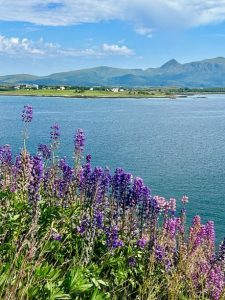 ROAD TRIP LOFOTEN