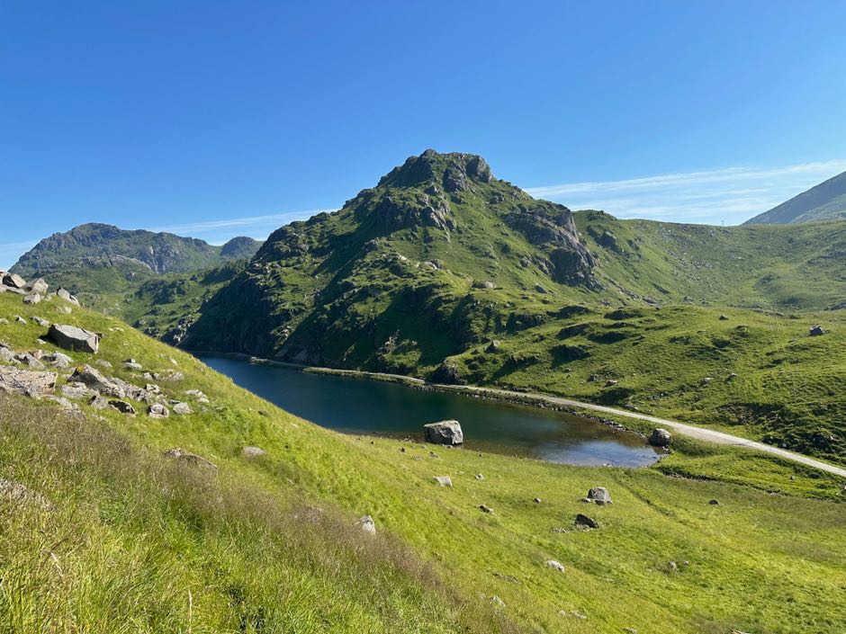 mannen lofoten été