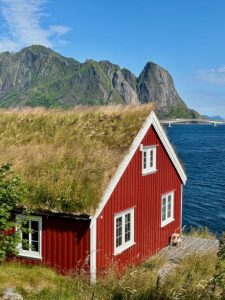 reine rorbuer lofoten