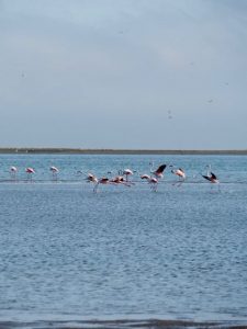 walvis bay