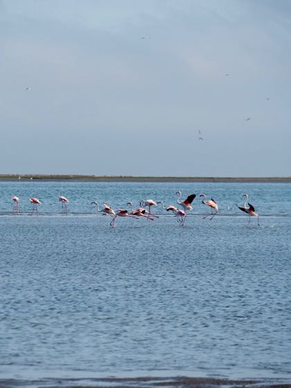 walvis bay