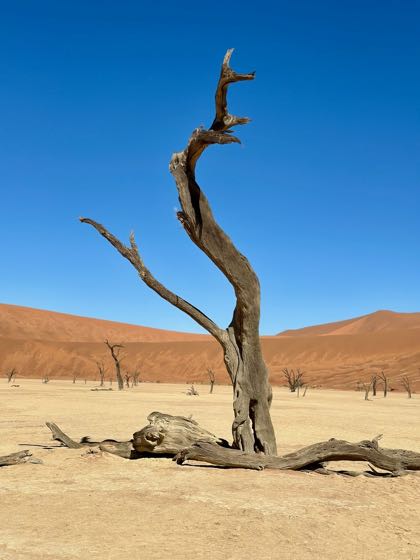 dead vlei namibie