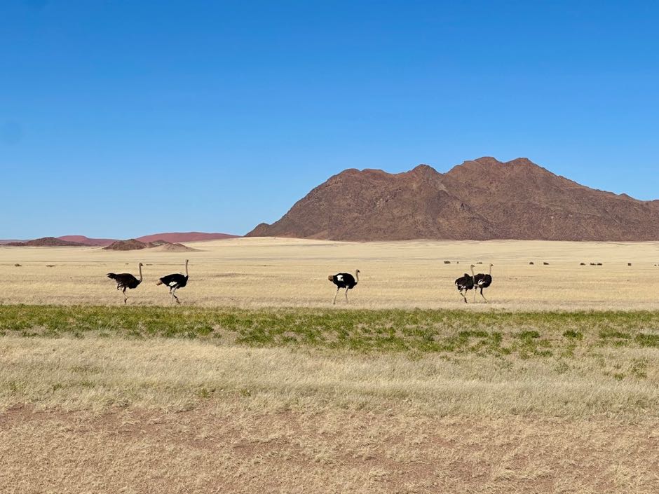 sossusvlei