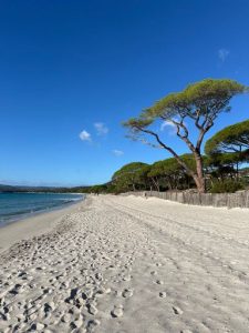 corse en automne
