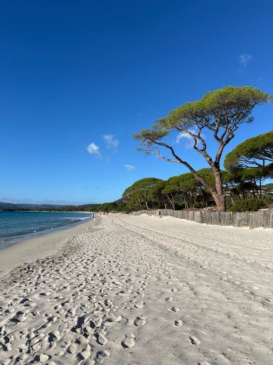 corse en automne