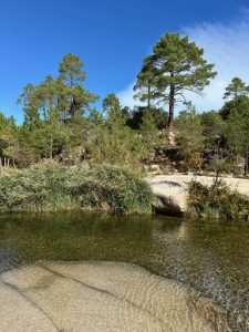 que faire a porto vecchio