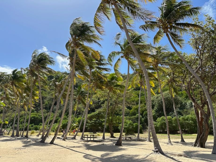 les saintes guadeloupe