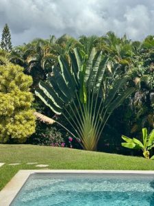 ou dormir en guadeloupe avec des enfants